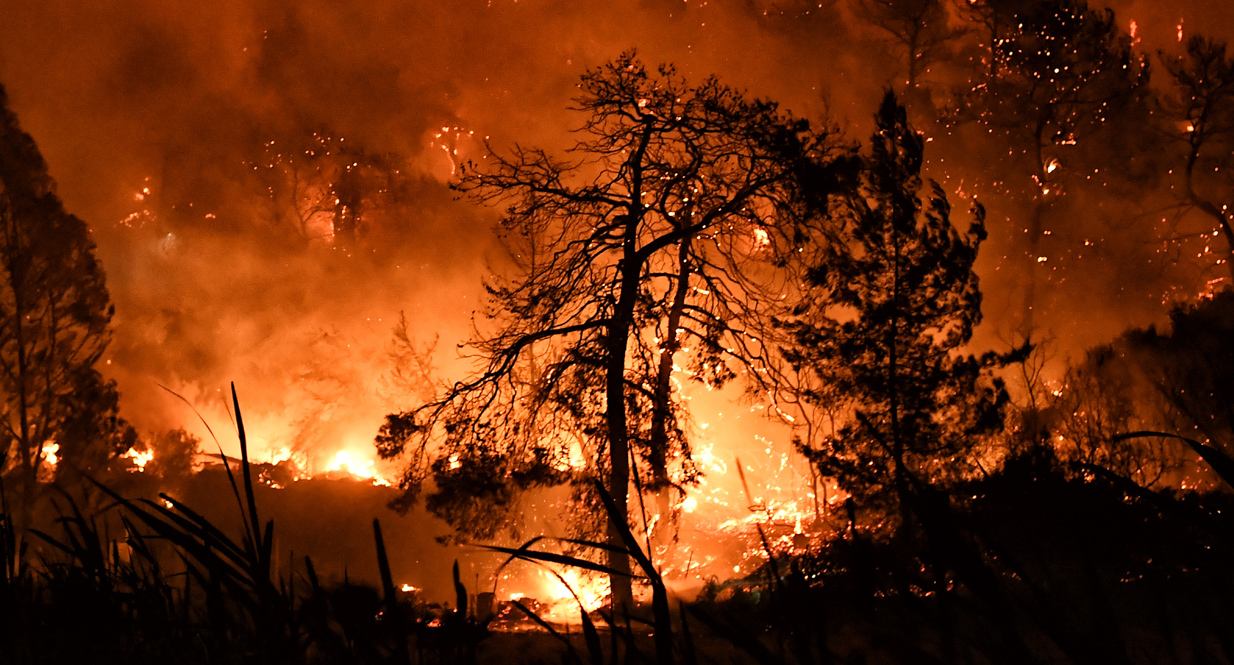 Δύσκολη νύχτα με τη φωτιά στο Σχίνο: Συναγερμός από το 112 για εκκενώσεις οικισμών &#8211; Από κάψιμο κλαδιών ξεκίνησε η πύρινη κόλαση