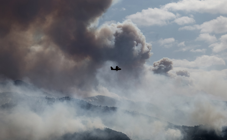 Χαρδαλιάς για φωτιά: Δόθηκε μάχη για να σωθούν σπίτια &#8211; Κάηκαν 40.000 στρέμματα