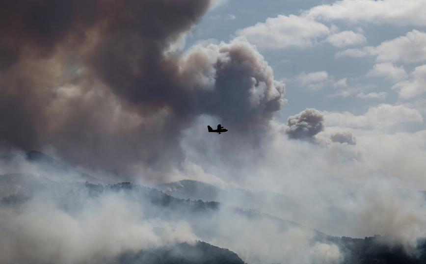 Χαρδαλιάς για φωτιά: Δόθηκε μάχη για να σωθούν σπίτια – Κάηκαν 40.000 στρέμματα