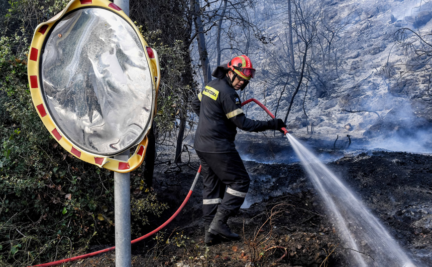 Ζάκυνθος: Υπό πλήρη έλεγχο η πυρκαγιά στην περιοχή Σκοπός