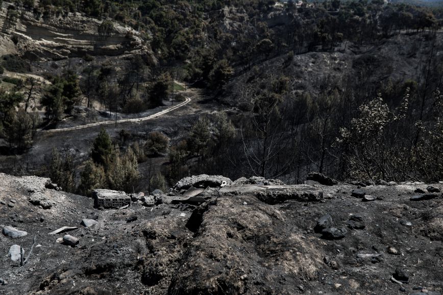 Φωτιά στο Σχίνο Κορινθίας: Έξι παρεμβάσεις στήριξης των πυροπλήκτων