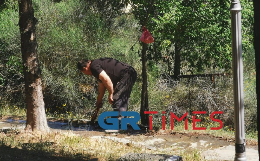 Επιχείρηση για τον εντοπισμό αγριογούρουνων στο άλσος των Συκεών