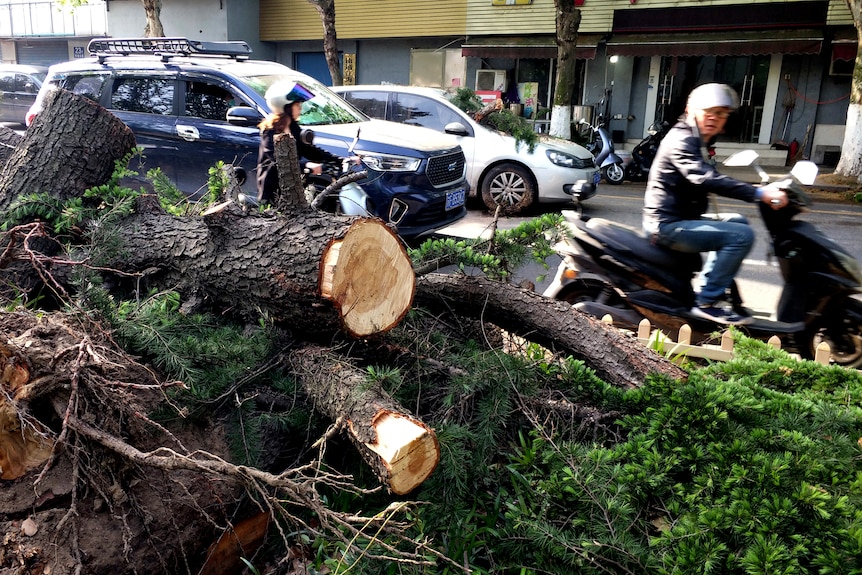 Κίνα: Τουλάχιστον 11 νεκροί από το σαρωτικό πέρασμα ισχυρού τυφώνα