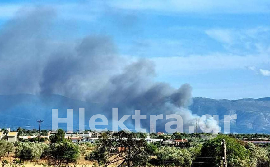 Φωτιά τώρα σε δασική έκταση στα Ίσθμια