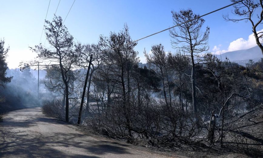 Πάνω από 71.000 στρέμματα έγιναν στάχτη από τη μεγάλη πυρκαγιά στα Γεράνεια Όρη