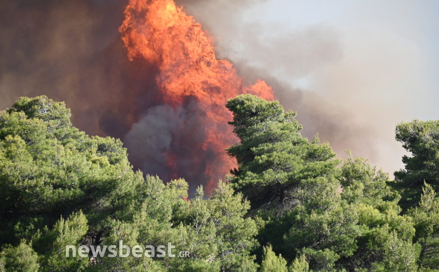 Φωτιά στην Κορινθία: Συνεχίζονται οι αναζωπυρώσεις &#8211; Εικόνες από τη μάχη με τις φλόγες