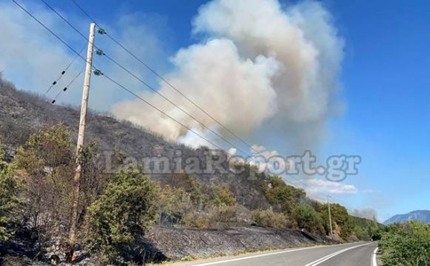 Φωτιά τώρα στη δυτική Φθιώτιδα απειλεί σπίτια