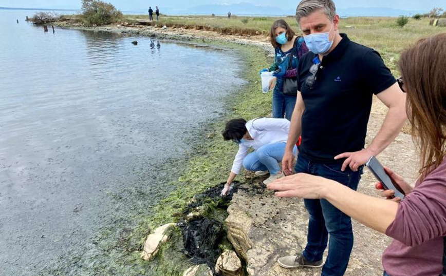 Αυτοψία στον Θερμαϊκό μετά από εμφάνιση νεκρών ψαριών