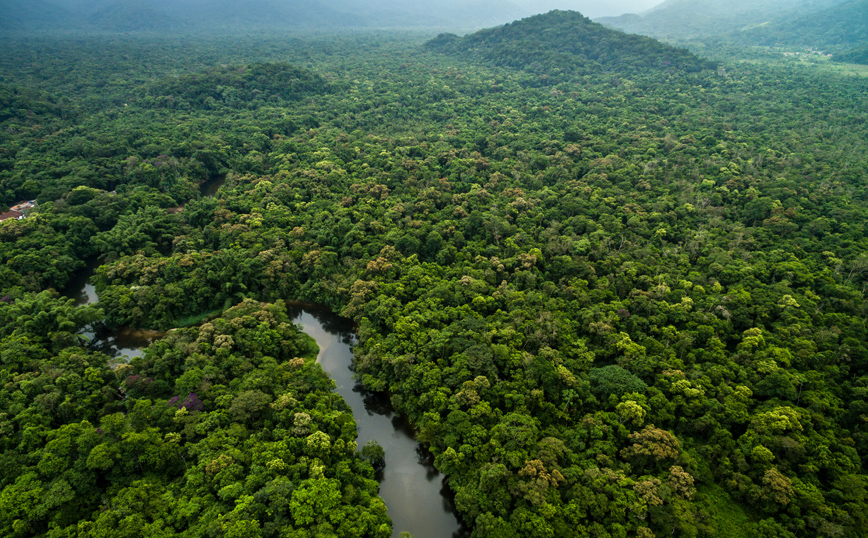 Να πόσα δέντρα υπάρχουν στον Αμαζόνιο