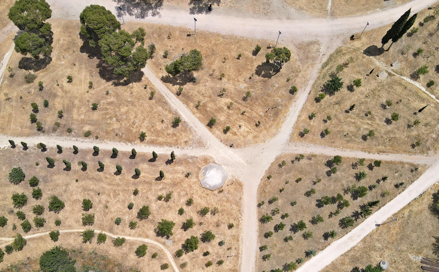 «Η COUNTRY FARMS™ σε συνεργασία με την Οργάνωση Γη επέστρεψαν στη φύση λίγη από την καλοσύνη που μας προσφέρει»