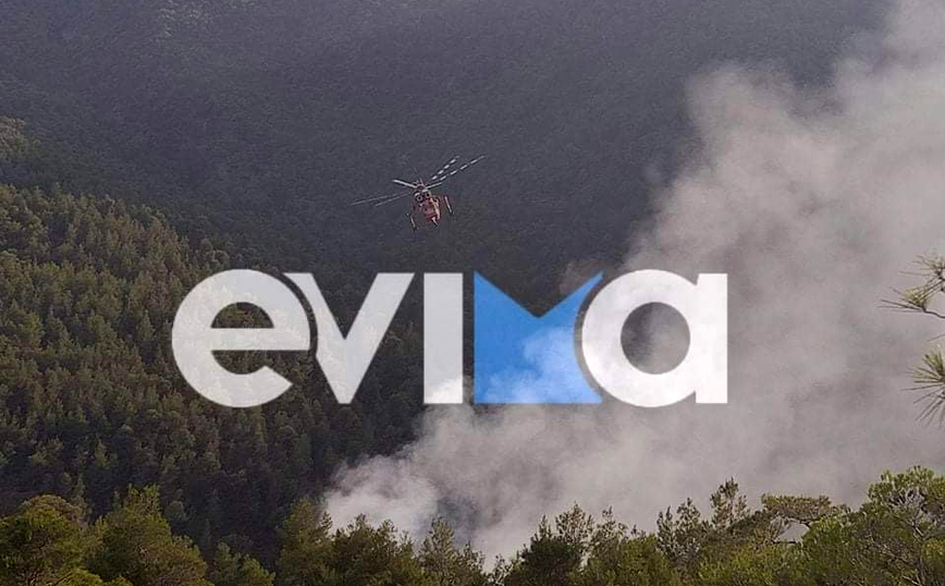 Φωτιά τώρα στην Εύβοια – Οι πρώτες εικόνες από το μέτωπο της πυρκαγιάς