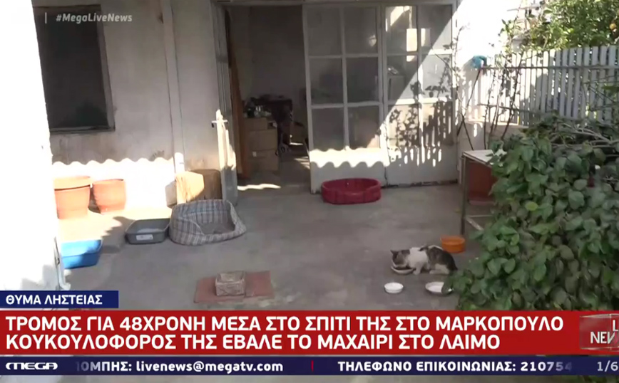 Θρίλερ στο Μαρκόπουλο: Κουκουλοφόρος της επιτέθηκε με μαχαίρι μέσα στο σπίτι της – «Μη φωνάξεις, θα σε σκοτώσω»