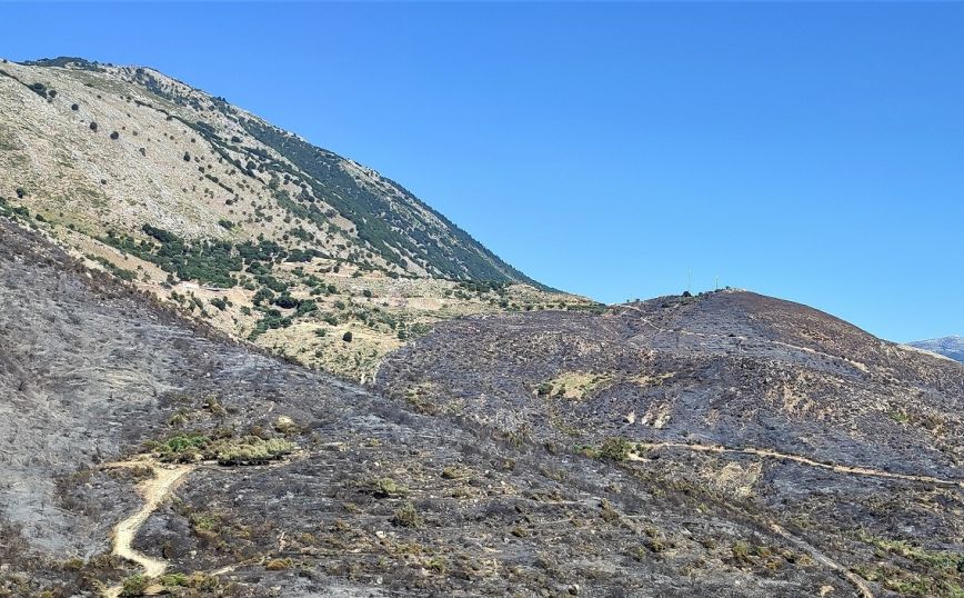 Υπό πλήρη έλεγχο όλα τα πύρινα μέτωπα στην Κεφαλονιά