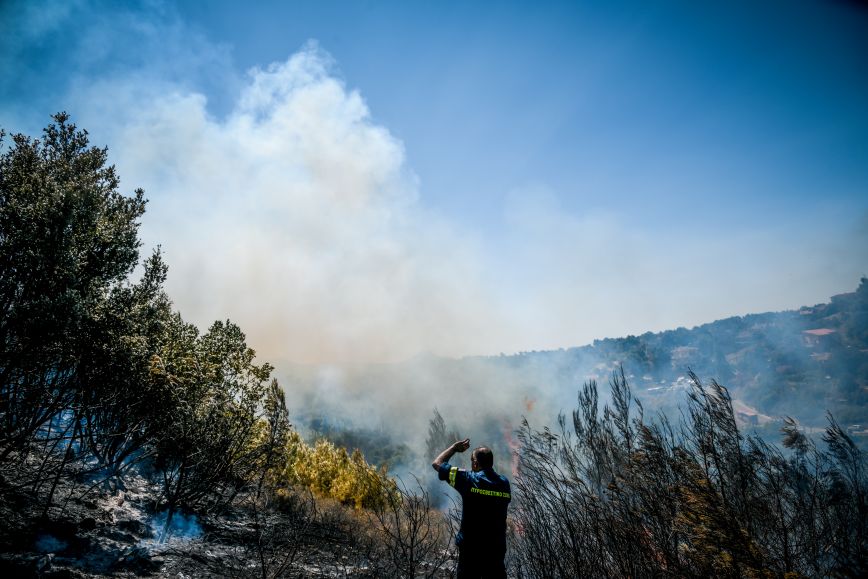 Ολονύχτια μάχη με τις φλόγες σε Νέα Στύρα, Βαρνάβα και Ασπρόπυργο