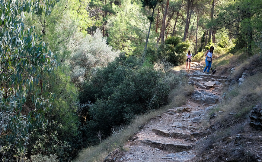 Ταγαράς: Ισχυρό πλέγμα μέτρων προστασίας για τον Υμηττό &#8211; Δείτε τον χάρτη