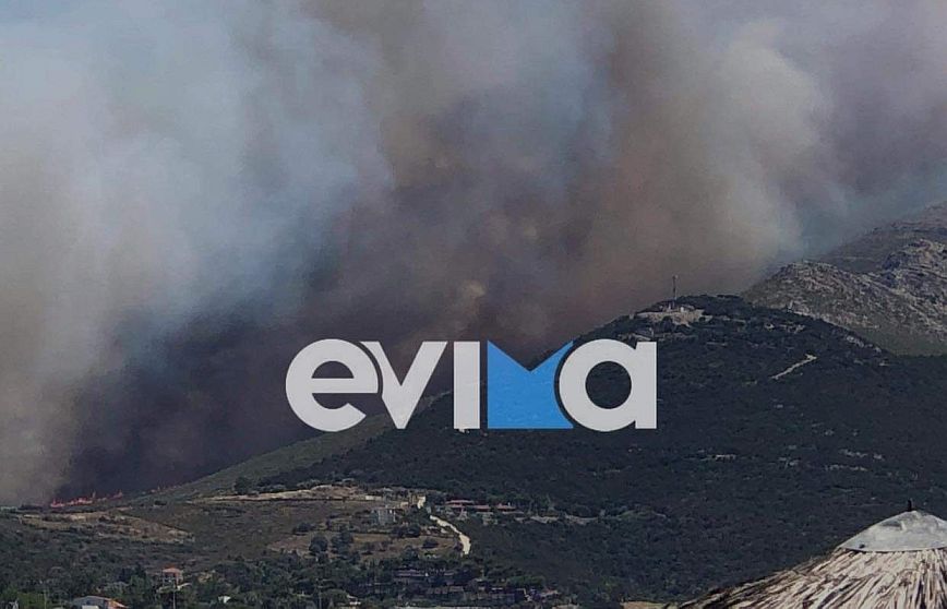 Φωτιά στην Εύβοια: Μήνυμα από το 112 για άμεση εκκένωση του Νημποριού