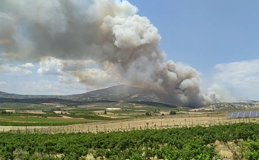 Φωτιά τώρα στο Καλέντζι Κορινθίας – Δείτε τις πρώτες εικόνες