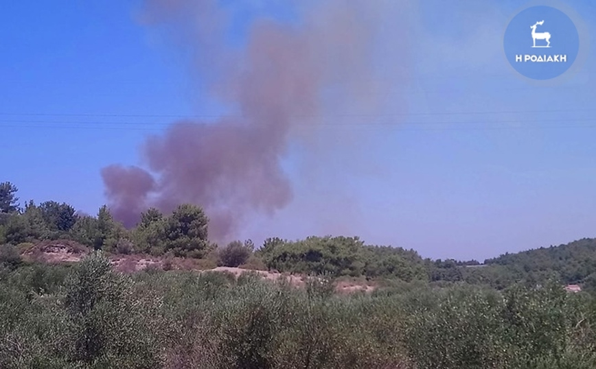 Έσβησε η φωτιά στη Ρόδο: Κάηκαν 70 στρέμματα δάσους