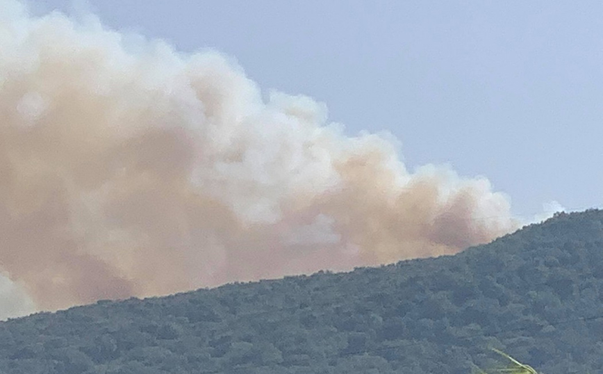 Μεγάλη φωτιά στη Βόνιτσα: Οι καπνοί έχουν σκεπάσει την Αιτωλοακαρνανία – Στη μάχη και το ρωσικό Beriev-200