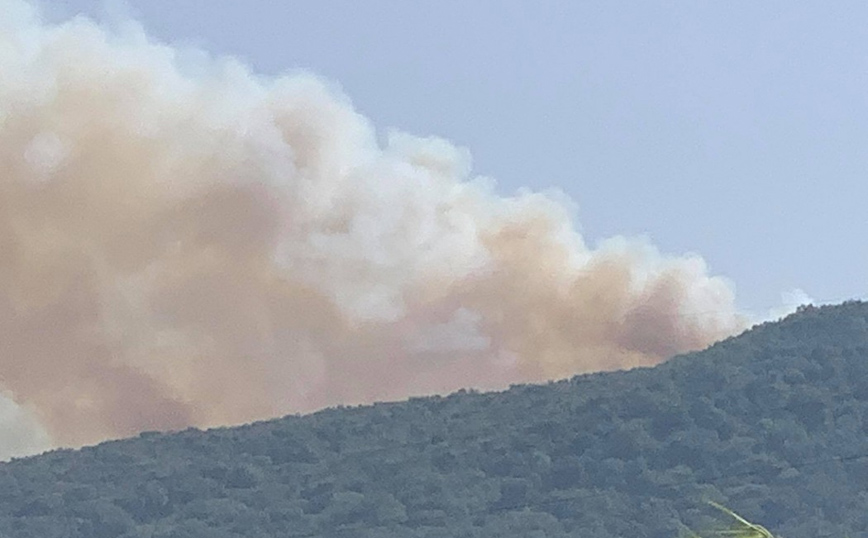 Μεγάλη φωτιά στη Βόνιτσα: Οι καπνοί έχουν σκεπάσει την Αιτωλοακαρνανία &#8211; Στη μάχη και το ρωσικό Beriev-200