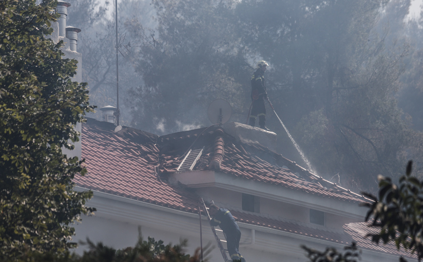 Φωτιά στη Σταμάτα: Ελεύθεροι οι 4 που είχαν προσαχθεί &#8211; Το σενάριο η πυρκαγιά να ξεκίνησε από εργασίες σε μελίσσια