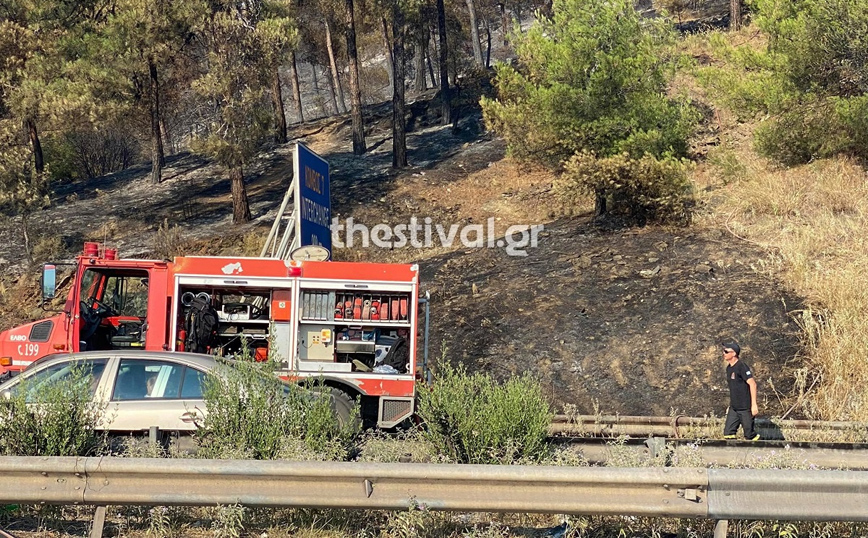 Φωτιά στο Σέιχ Σου: Κάηκαν 90 στρέμματα