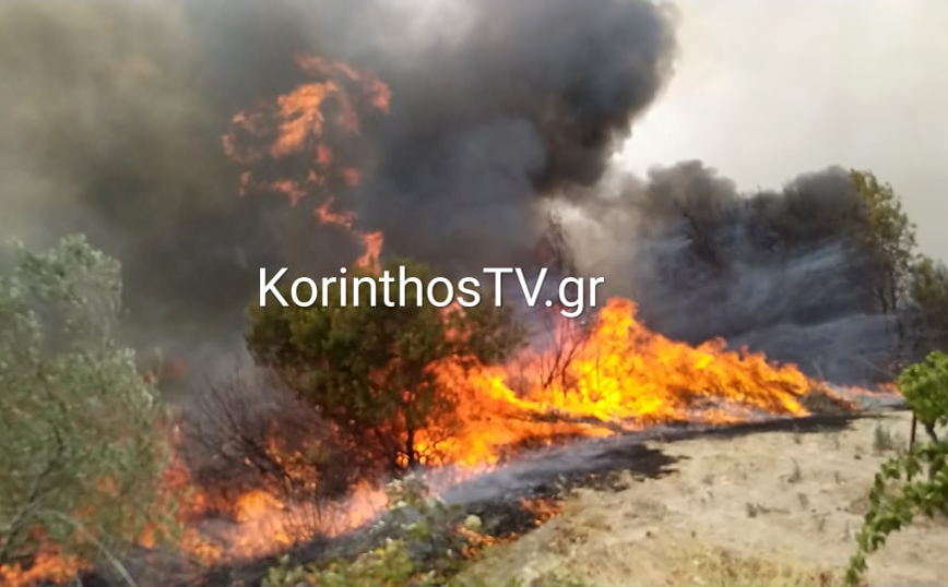 Φωτιά στο Καλέντζι Κορινθίας: Μαίνεται η πυρκαγιά – Ολονύχτια μάχη με τις φλόγες