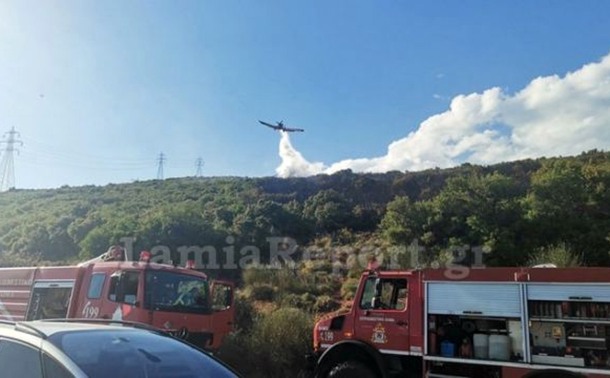 Φωτιά στην Καμηλόβρυση Λαμίας