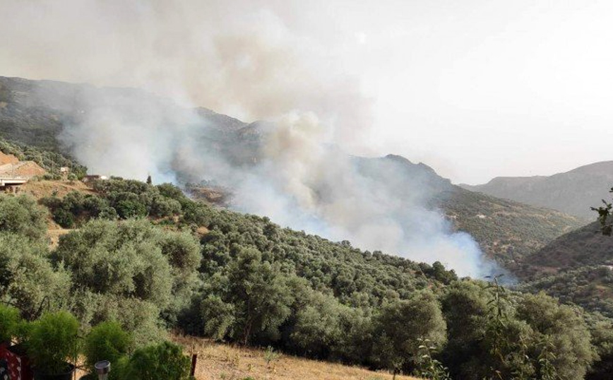 Φωτιά στην Πρέβελη Ρεθύμνου – Ανησυχία για το φοινικόδασος