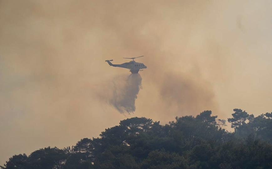 Φωτιά στη Βίλια: «Τα εναέρια μέσα εμποδίζονται από τον καπνό» λέει ο πρόεδρος της κοινότητας