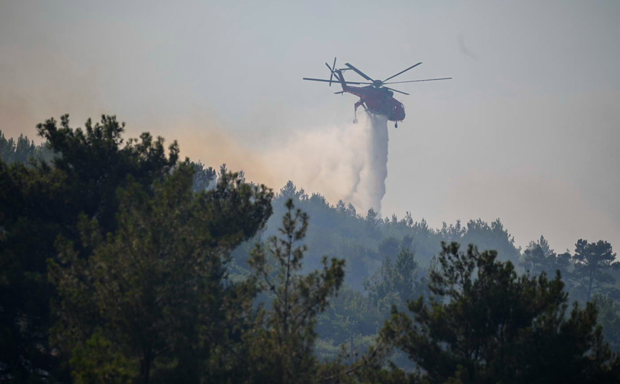 Φωτιά τώρα στα Γρεβενά – Επιχειρεί κι ελικόπτερο
