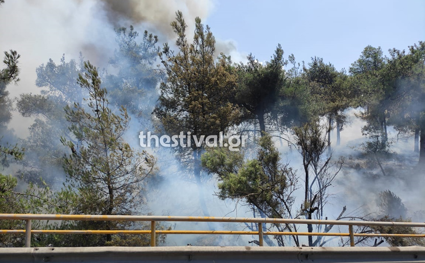 Μεγάλη φωτιά τώρα στο Σέιχ Σου