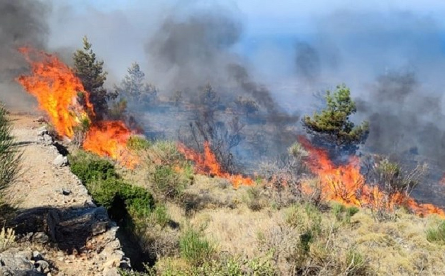 Μεγάλη φωτιά στη Χίο: Μάχη να περιοριστεί το πύρινο μέτωπο την Κατάβεση &#8211; Εκκενώθηκε το χωριό