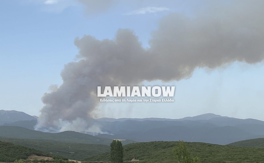 Φωτιά στη Φθιώτιδα: Υπό έλεγχο η πυρκαγιά στο Λογγίτσι