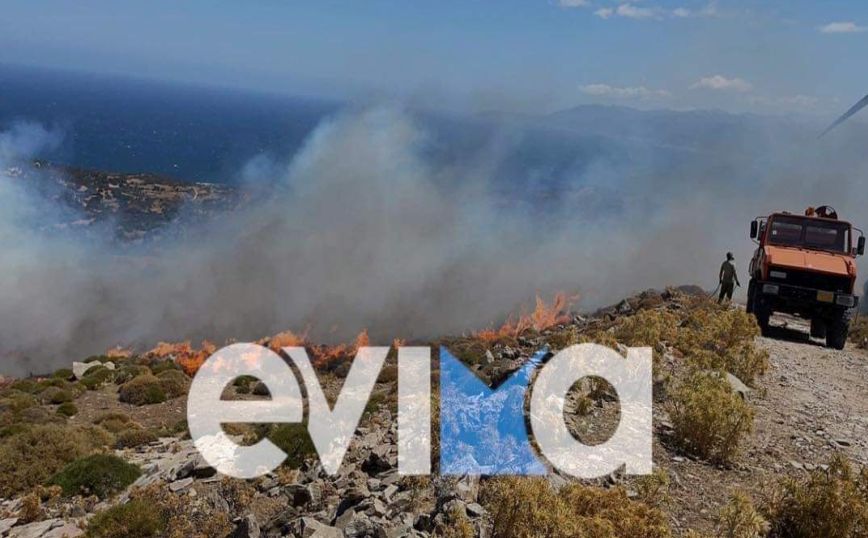 Μεγάλη φωτιά τώρα στα Μεσοχώρια στην Kάρυστο – Θυελλώδεις άνεμοι στην περιοχή