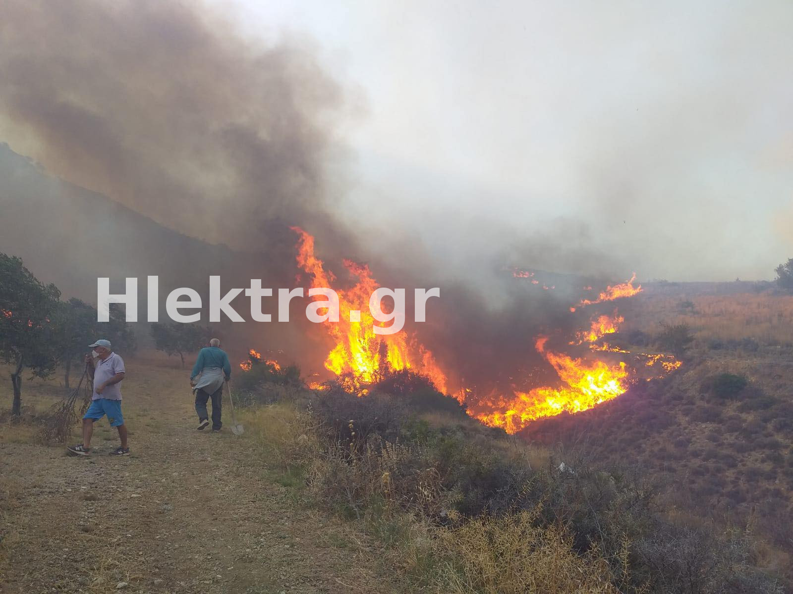 Αρχαία Κόρινθος: Φωτιά στην περιοχή Φανάρια -Εκκενώνεται ο οικισμός Σολομός