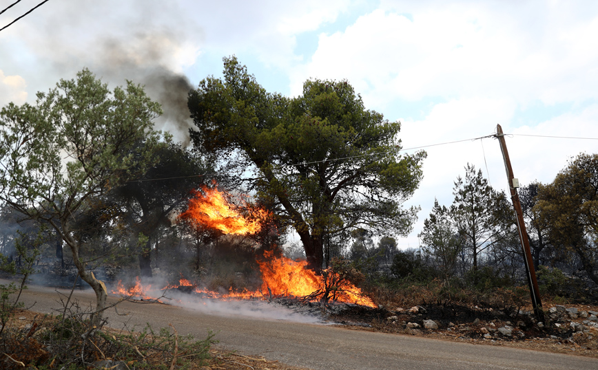 Φωτιά στα Βίλια: Καλύτερη εικόνα, μάχη με τις αναζωπυρώσεις