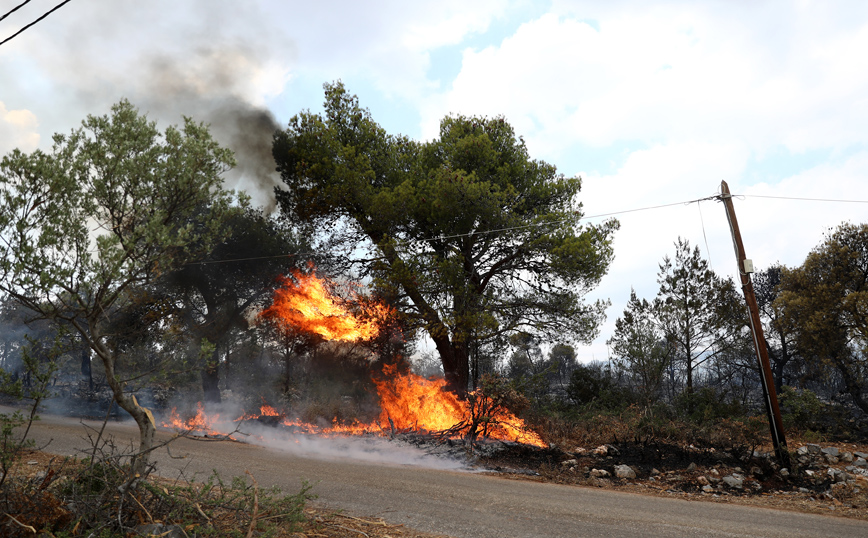 Φωτιά στα Βίλια: Μάχη για να μην επεκταθεί στον κάμπο των Μεγάρων