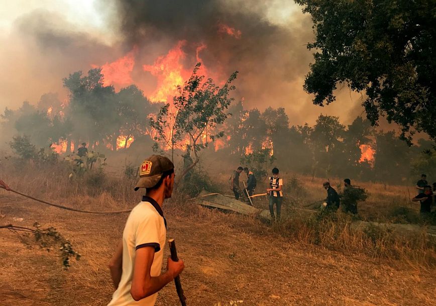 Αλγερία: Σχεδόν 90 οι νεκροί από τις δασικές πυρκαγιές