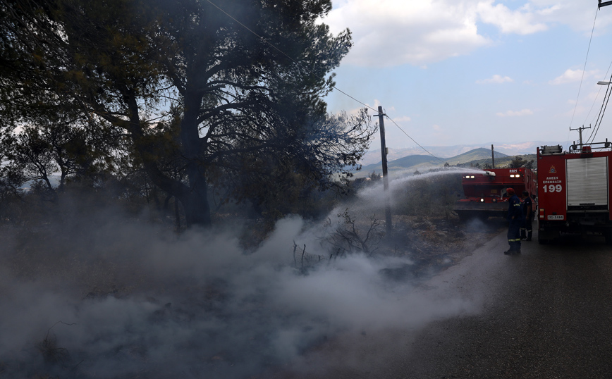 Φωτιά στα Βίλια: Μαίνεται η πυρκαγιά στο όρος Πατέρα &#8211; Κάηκαν σπίτια και αποθήκες