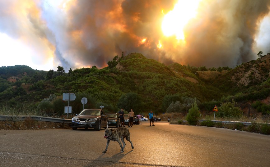 Φωτιά στη Βαρυμπόμπη: Η συγκλονιστική στιγμή με φωτορεπόρτερ να δίνει νερό σε έναν ταλαιπωρημένο σκύλο
