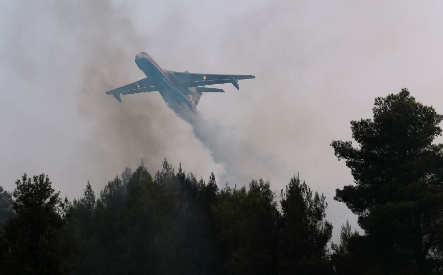 Φωτιά στην Αρκαδία: Εστίες σε Αετοράχη, Νεοχώρι, Οχθια και Καλλιάνη &#8211; Μάχη από Έλληνες, Γάλλους, Γερμανούς πυροσβέστες