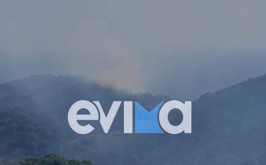 Φωτιά στις Πετριές Εύβοιας: Ρίψεις από τέσσερα εναέρια μέσα