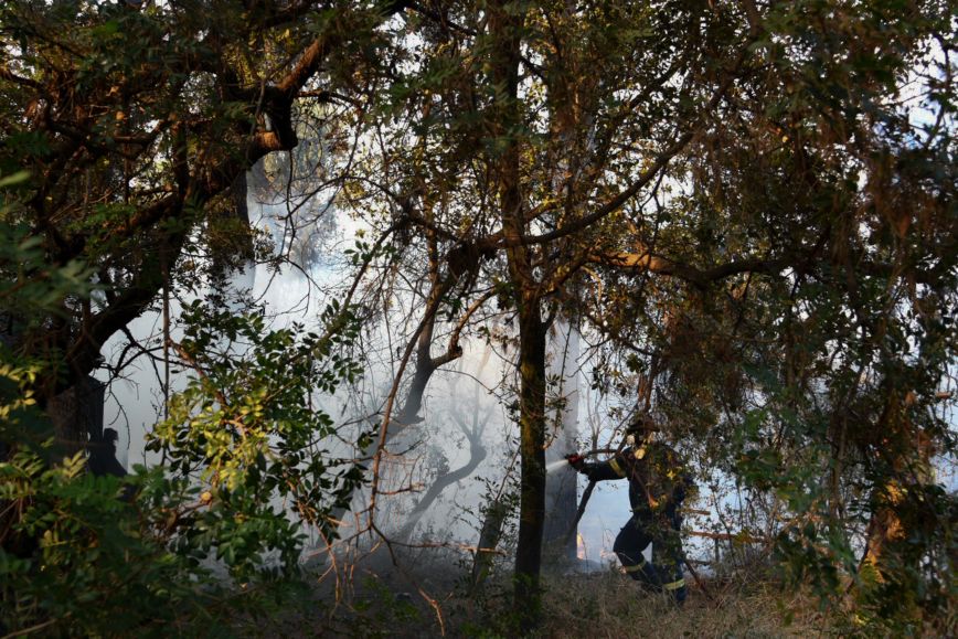 Φωτιά στη Ρόδο: Μάχη με τις αναζωπυρώσεις εξακολουθούν να δίνουν οι πυροσβέστες