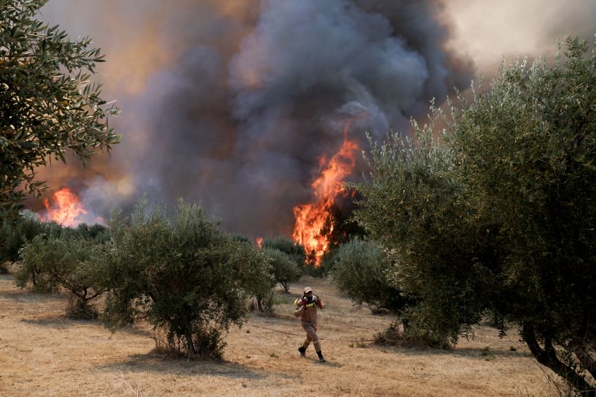 Δύσκολα ξανά τα πράγματα στην περιοχή της Αρχαίας Ολυμπίας- «Δυνατοί οι άνεμοι, ελάχιστα τα μέσα κατάσβεσης»