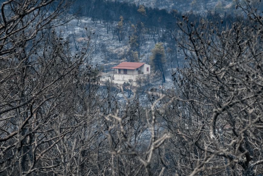 Βίλια: Οριοθετήθηκε η φωτιά &#8211; Σε επιφυλακή η Πυροσβεστική