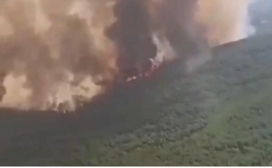 Φωτιά στην Εύβοια: Βίντεο από το πιλοτήριο Canadair που «βουτάει» μέσα στη φλόγες