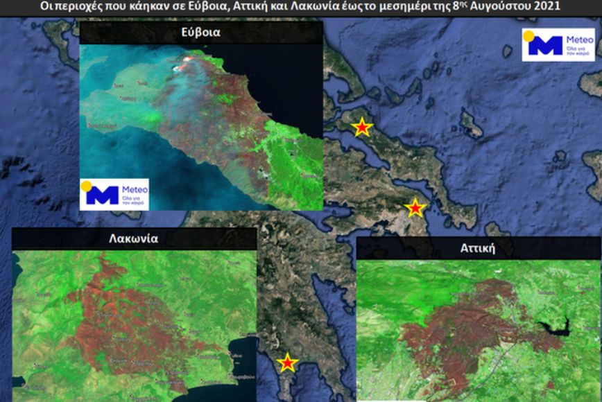 Φωτιές: Περισσότερα από 650.000 στρέμματα οι καμένες εκτάσεις σε Εύβοια, Αττική και Λακωνία