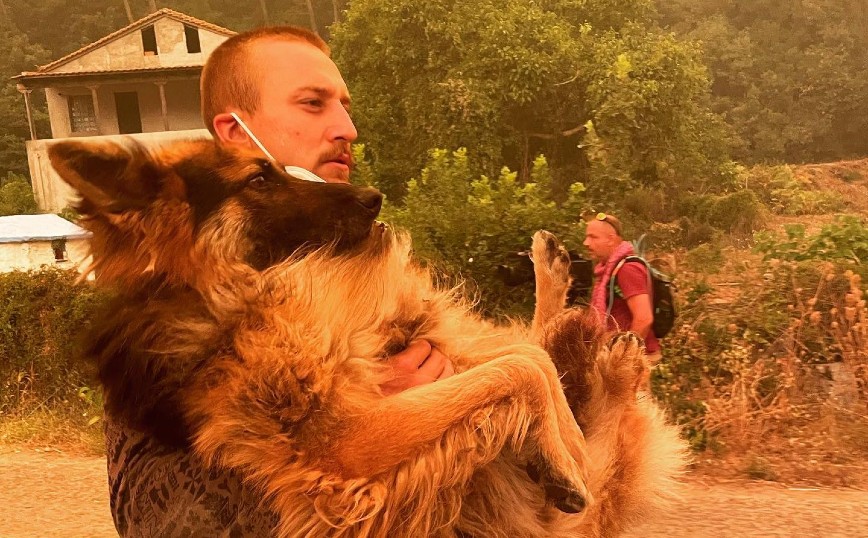 Φωτιά στην Εύβοια: Εθελοντής έσωσε σκύλο από βέβαιο θάνατο &#8211; Ο ιδιοκτήτης του το είχε αφήσει δεμένο