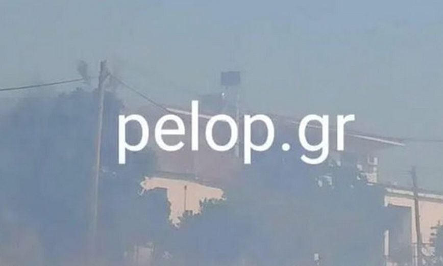 Φωτιά τώρα στην Αχαΐα – Οι φλόγες καίνε κοντά σε σπίτια στην Άρλα